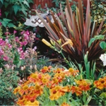 Garden, Image Two